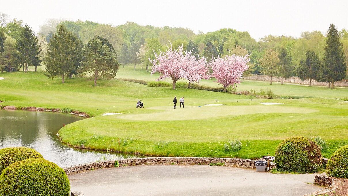 CF Place picture 13