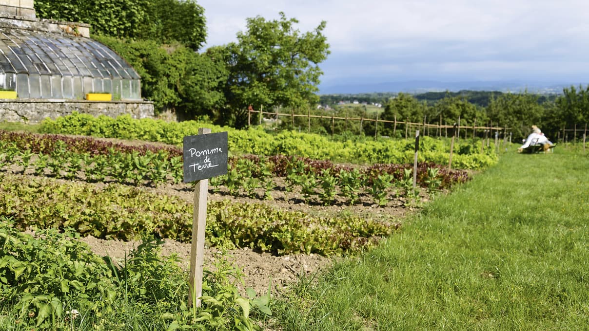 House second picture