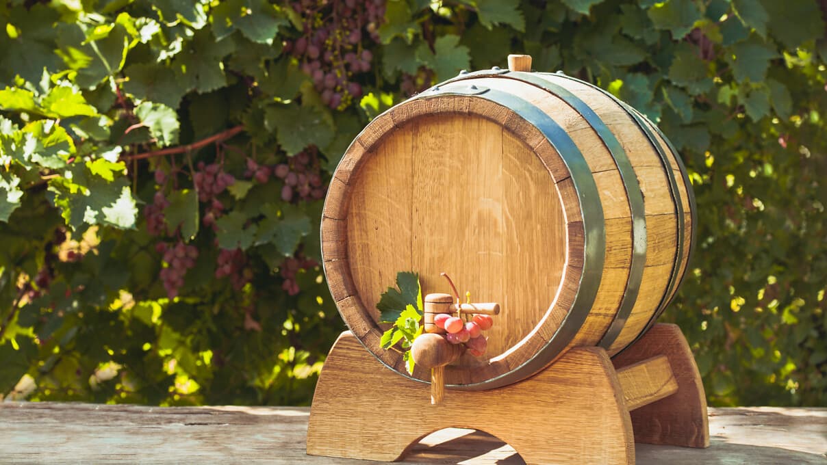 Wijnproeven bij Tenuta Travaglino