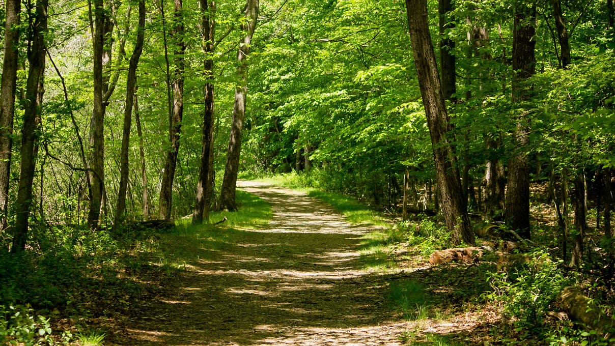 NatuRallye